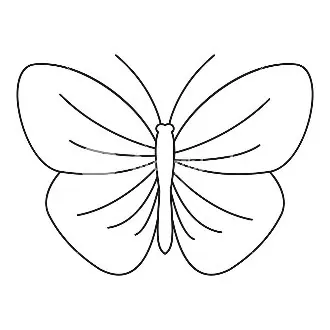 Outline-icon