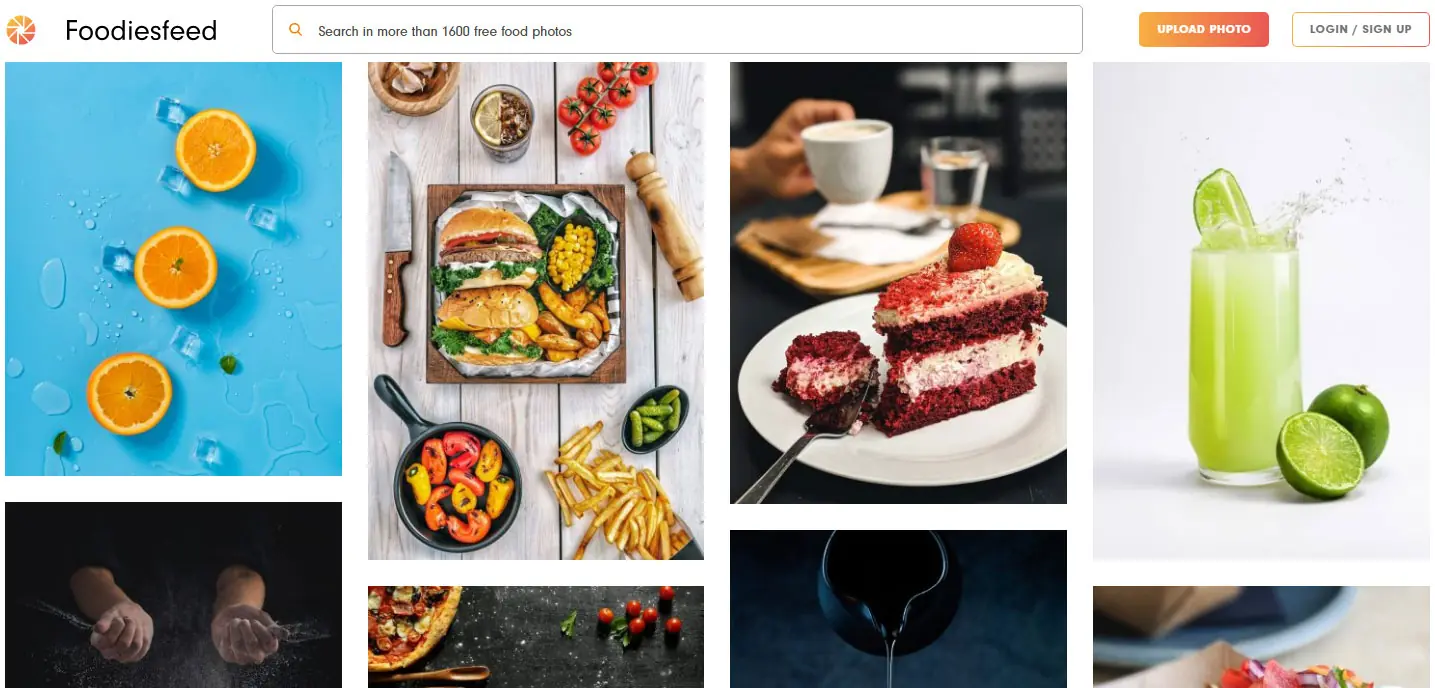 foodiesfeed